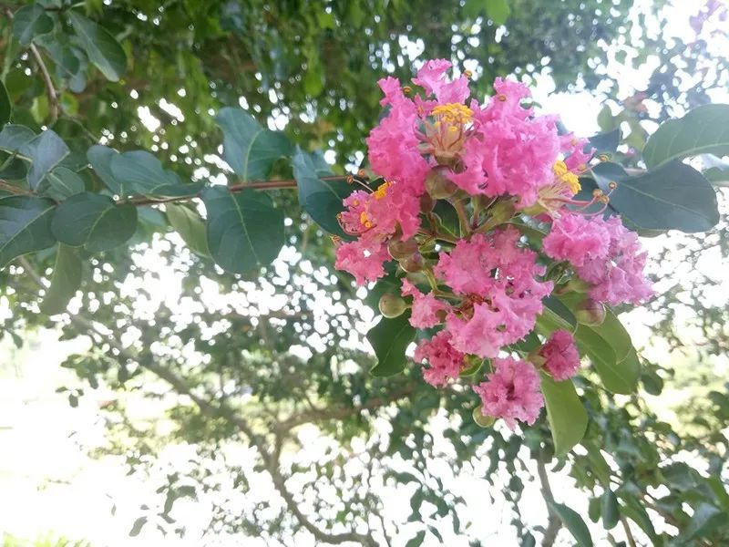 绿水青山，联翩而至，allbet2018云浮之旅