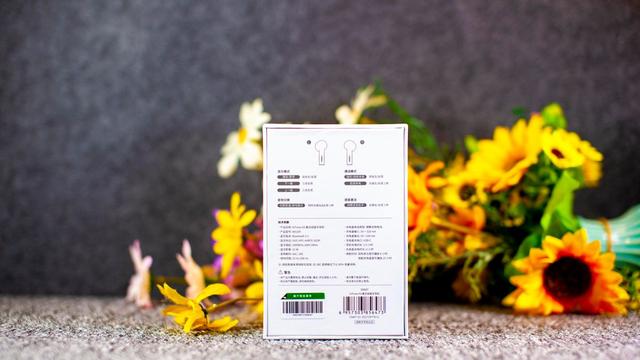 allbet小海豚耳机体验：小身材大音质，AirPods百元平替