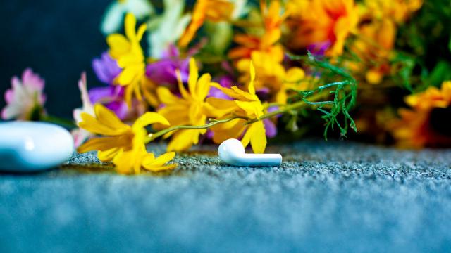 UGREENallbet-品质新体验,数码选allbet